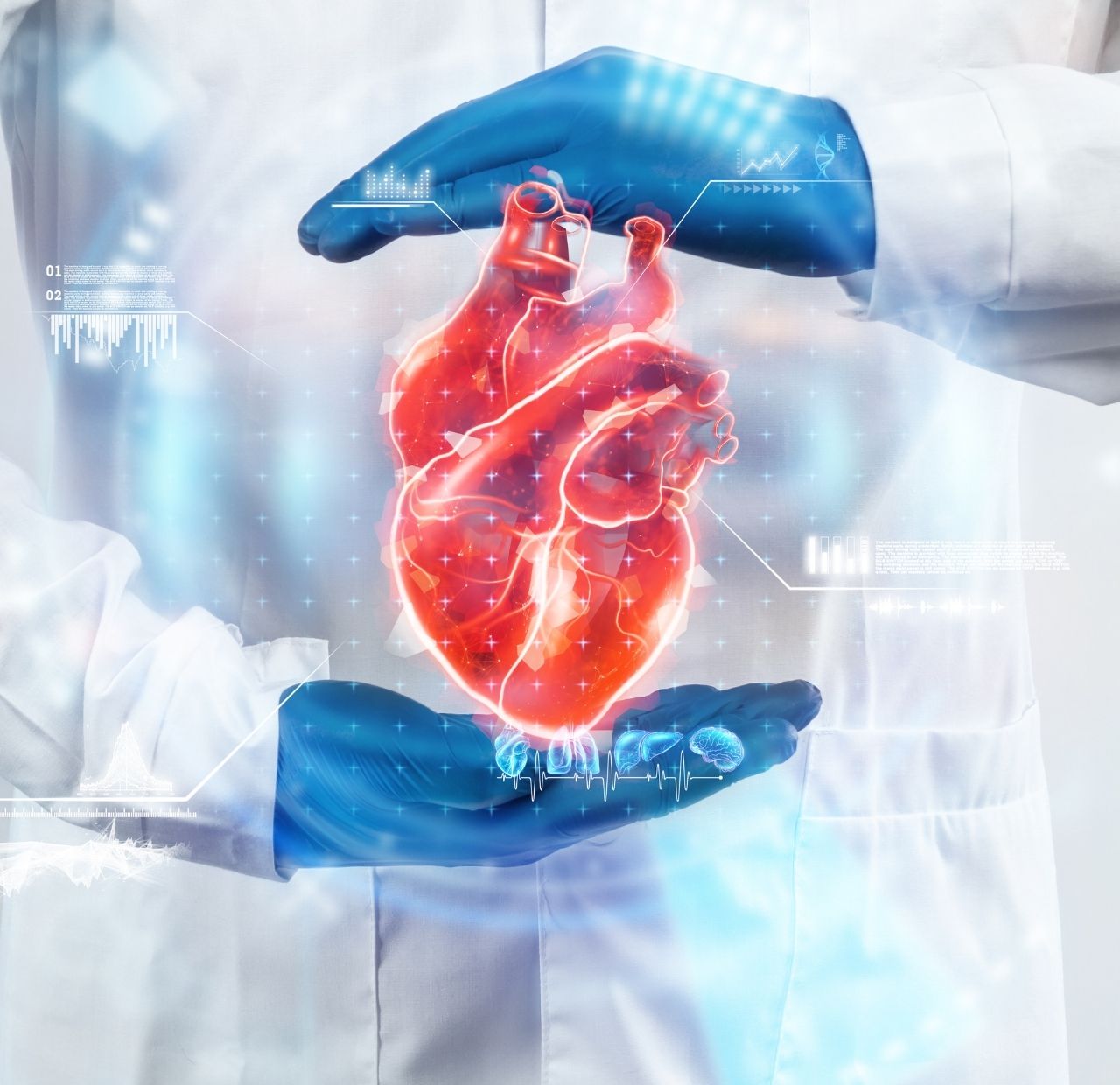 Consulenza salute del cuore: Ecg, ecocardio, colloquio con gli specialisti
