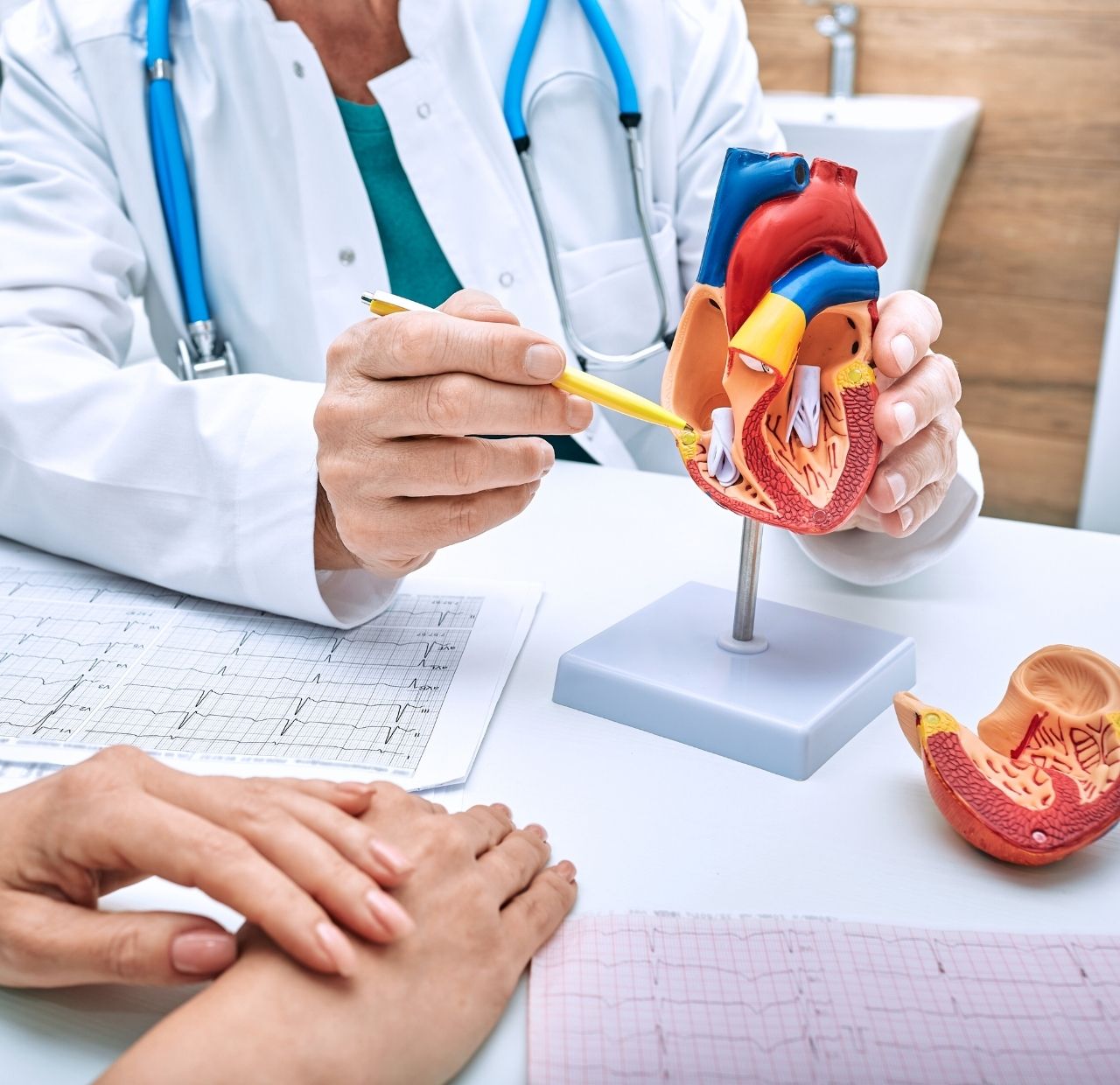Heart Team: incontro con gli specialisti del cuore